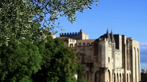 Olive tree in front of the palace of the popes with blue sky Stock Footage 82893251
