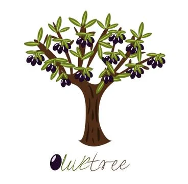 Olive tree full of black olives. Illustrazione stock