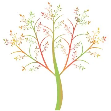 Olive Tree Stock Illustration