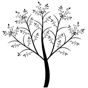 Olive Tree Stock Illustration