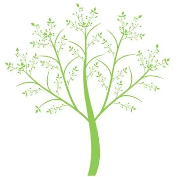 Olive Tree Stock Illustration