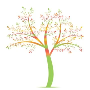 Olive Tree Stock Illustration