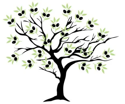 Olive Tree Stock Illustration