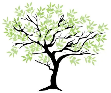 Olive Tree Stock Illustration