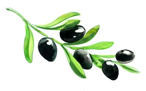 Olive tree Illustrazione stock