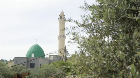Olive Tree Near Mosque Stock Footage 102178153