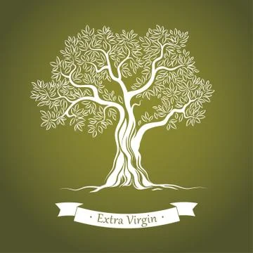 Olive tree. Olive oil. Stock Illustration