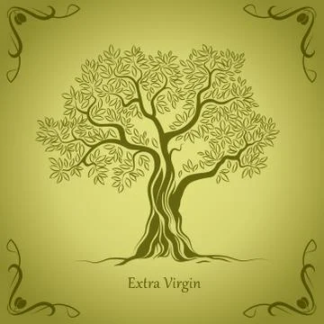 Olive tree. Olive oil. Stock Illustration