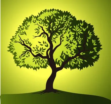 Olive tree. Olive oil. Stock Illustration