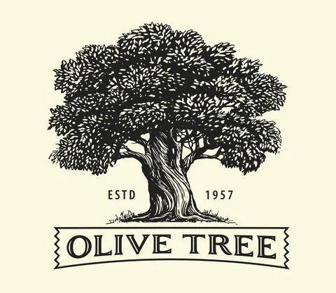 Olive tree with olives on branches. Olive oil emblem sketch. Hand drawn vector Stock Illustration