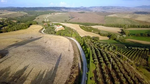 Olive tree orchards and cypress trees on road to a villa in Tuscany, Stock Footage 125541880