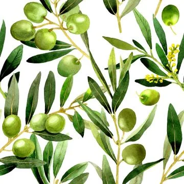 Olive tree pattern in a watercolor style isolated Stock Illustration