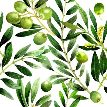 Olive tree pattern in a watercolor style isolated Stock-Illustration