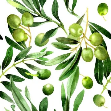 Olive tree pattern in a watercolor style isolated Stock Illustration