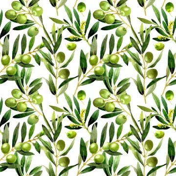 Olive tree pattern in a watercolor style isolated Stock Illustration