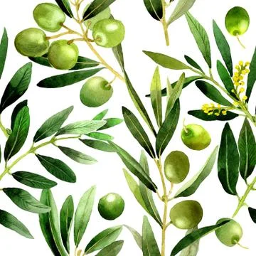 Olive tree pattern in a watercolor style isolated Stock Illustration