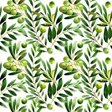 Olive tree pattern in a watercolor style isolated Stock Illustration