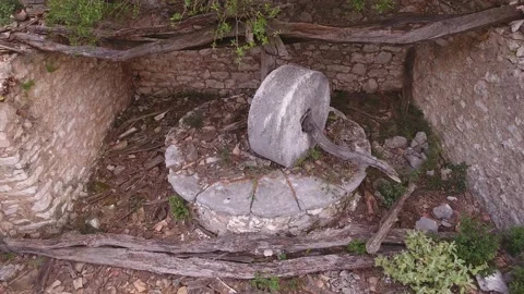 Olive tree press (old) Stock Footage 134805834