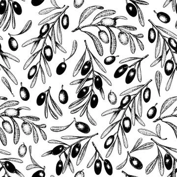 Olive tree seamless pattern. Vector vintage background. Hand drawn engraved Stock Illustration
