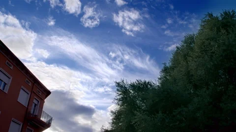 Olive Tree Silhouette Against Blue Sky With Dramatic Clouds, Rimini, Italy Stock Footage 346112889