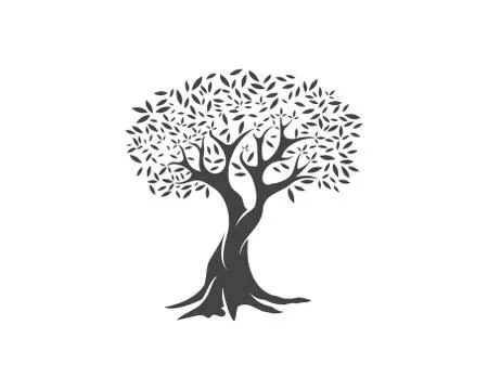 Olive tree vector illustration Stock Illustration