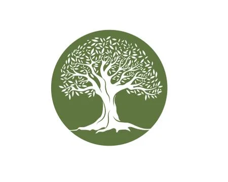 Olive tree vector illustration Stock Illustration