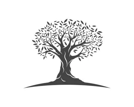Olive tree vector illustration Stock Illustration