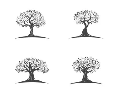 Olive tree vector illustration Illustrazione stock
