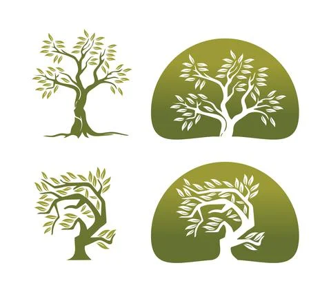 Olive Tree Vector Sign Stock Illustration