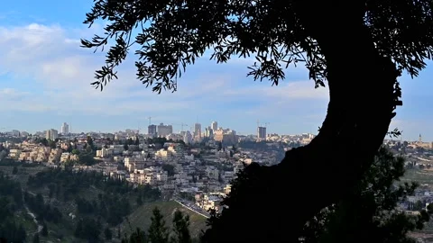 Olive tree view over west Jerusalem 4K 스톡 동영상 151634490
