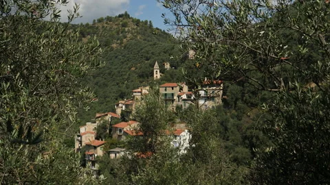 Olive trees and ancient mountain village with church tower. Imperial, Italy. Stock Footage 217966271