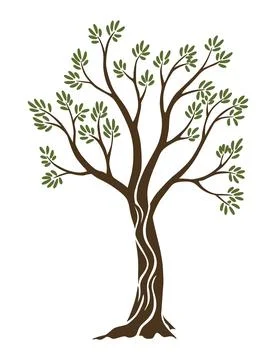 Olive trees with branches and leaves for design of packaging, label, logotype or Stock Illustration