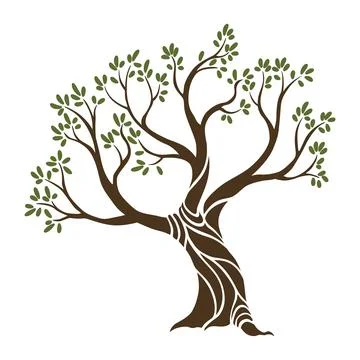 Olive trees with branches and leaves for design of packaging, label, logotype or Stock Illustration