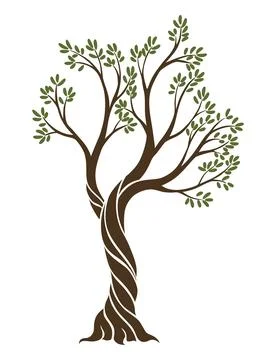 Olive trees with branches and leaves for design of packaging, label, logotype or Stock Illustration