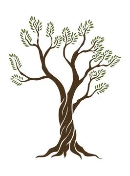 Olive trees with branches and leaves for design of packaging, label, logotype or Stock Illustration
