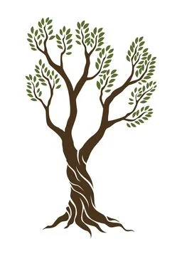 Olive trees with branches and leaves for design of packaging, label, logotype or Stock Illustration