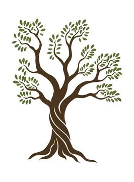 Olive trees with branches and leaves for design of packaging, label, logotype or Stock Illustration