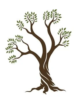 Olive trees with branches and leaves for design of packaging, label, logotype or Stock Illustration