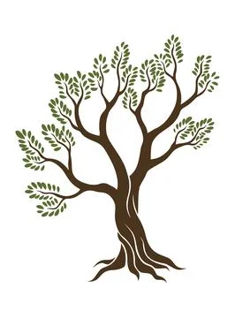 Olive trees with branches and leaves for design of packaging, label, logotype or Stock Illustration