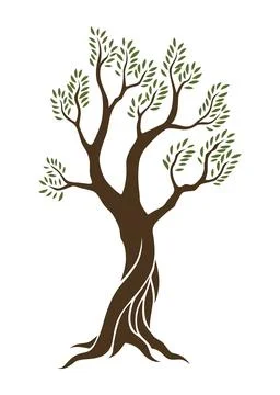 Olive trees with branches and leaves for design of packaging, label, logotype or Stock Illustration