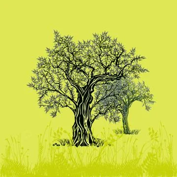 Olive trees on olive illustration Stock Illustration