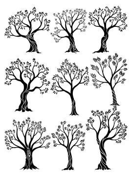 Olive trees set with branches and leaves for design of packaging, label Stock Illustration