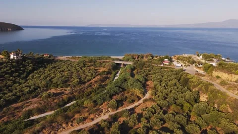 Olive Valley and Quiet Mediterranean Shore Stock Footage 344047864
