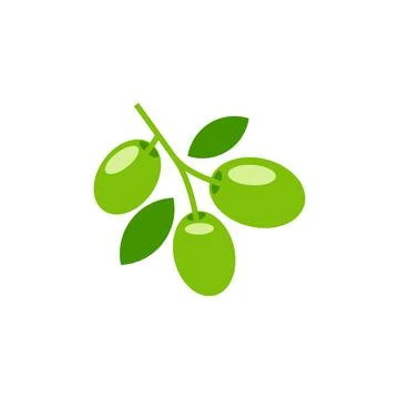 Olive vector illustration isolated on white background Stock Illustration