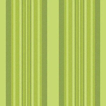 Olive vertical vector fabric, contour background texture seamless. Rest lin.. Illustrazione stock
