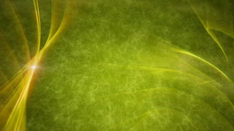 Olive Vine Reveal Background Stock Footage 784338