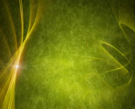 Olive Vine Reveal Background Stock Footage 822820