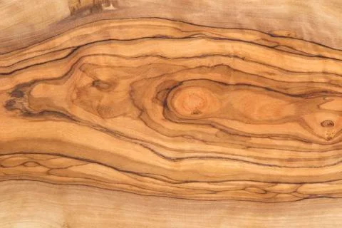 Olive wood texture Фото