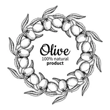 Olive wreath. Hand drawn vector illustration of branch with food Stock Illustration