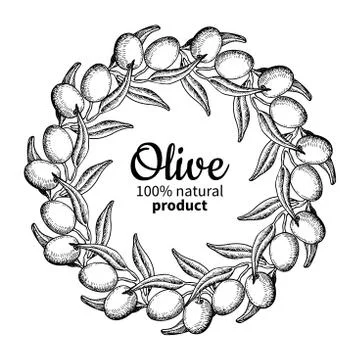 Olive wreath. Hand drawn vector illustration of branch with food Stock Illustration